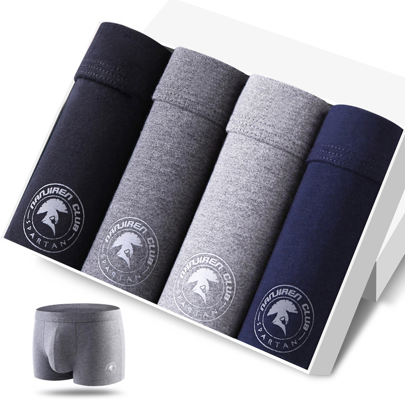 Boxers en coton respirant pour - Boxer Brief Pack Cotton avis et prix
