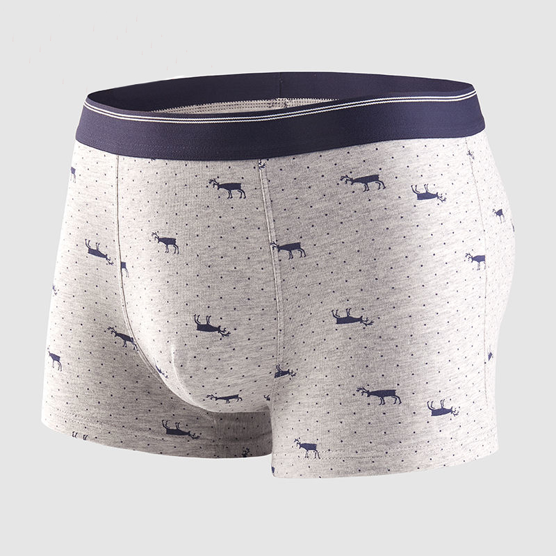 Boxers en coton respirant pour - Boxer Brief Pack Cotton avis et prix