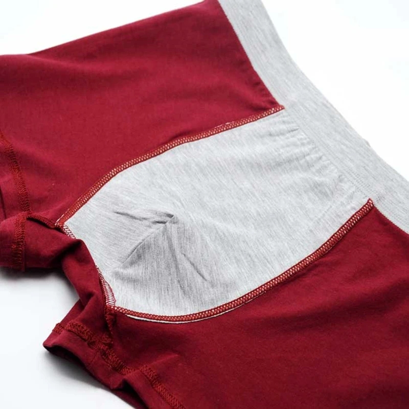Grande taille sous-vêtements s - Boxer Brief Pack Cotton avis et prix